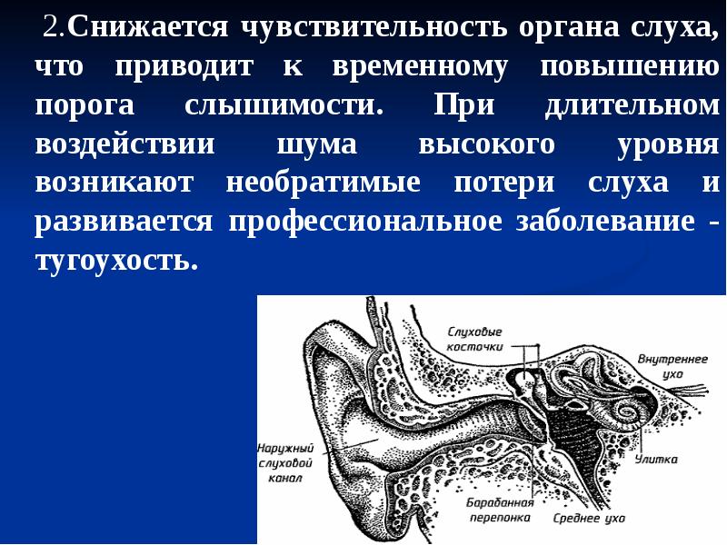 Шум слух. Чувствительность органа слуха. Воздействие на органы слуха. Профессиональные заболевания органов слуха. При длительном воздействии производственного шума в органе слуха.