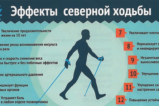 Скандинавская ходьба план тренировок