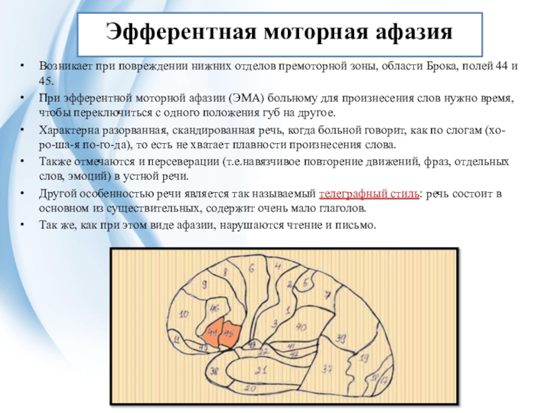 Эфферентная афазия. Ведущий симптом при эфферентной моторной афазии. Эфферентная моторная афазия симптомы. Речевые симптомы эфферентной моторной афазии. Моторная афазия зона поражения.